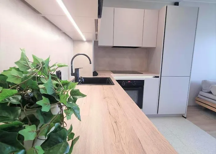 Appartement Moderni Kattohuoneisto Tampere